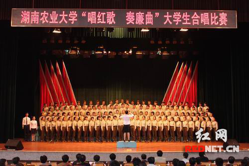 湖南农业大学人民武装部官网，功能、特点与发展，湖南农业大学人民武装部官网概览，功能、特色与发展趋势