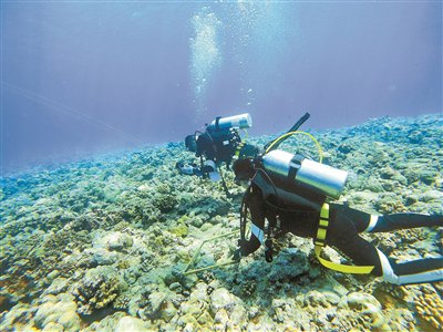 黄岩岛所在海域，丰富的生态与重要的战略地位，黄岩岛海域，生态丰富与战略地位的重要性