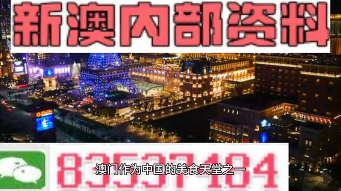 新澳门内部正版资料大全，探索与解读，澳门内部正版资料大全，深度探索与解读