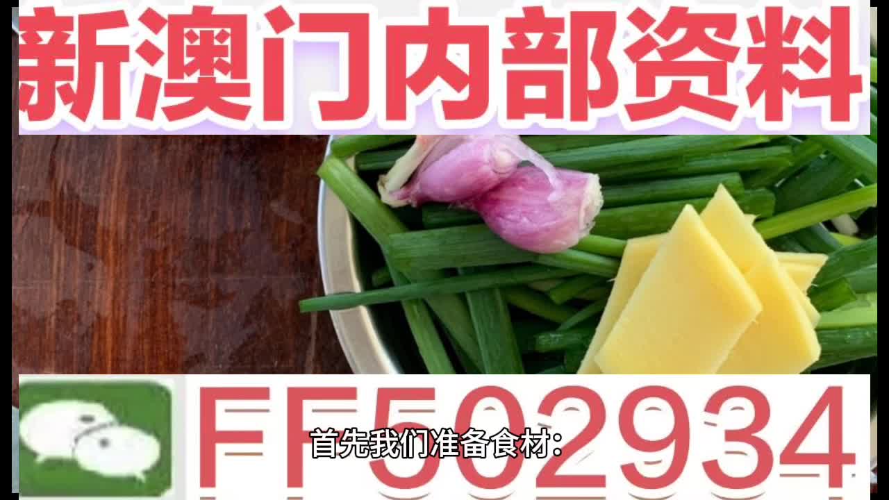 澳门今一必中一肖一码一肖，探索传统魅力与现代机遇，澳门传统魅力与现代机遇，一肖一码探索之旅