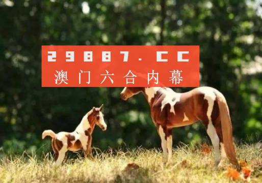 澳门今晚必开一肖1叫狗