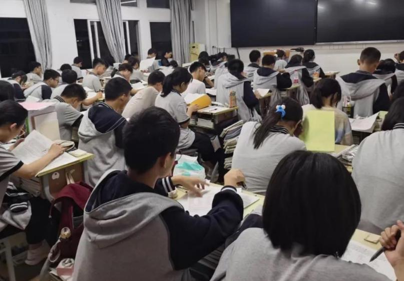家教老师，深度理解与成长之路的11话免费探索，家教老师，深度理解与成长之路的启示（免费探索系列）
