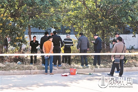 泉州信息工程学院死人事件，深度探究与反思，泉州信息工程学院死人事件，深度探究与反思背后的真相