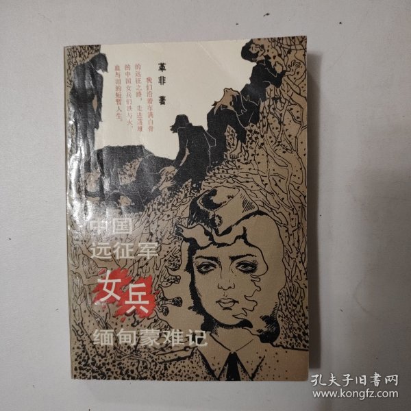 缅甸远征军的小说，英勇与牺牲的史诗，缅甸远征军，英勇牺牲的史诗之旅