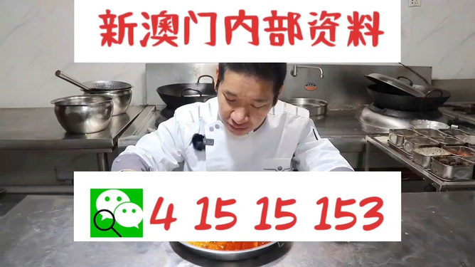 管家婆一肖资料大全，深度解析与实用指南，管家婆一肖资料大全，深度解析与实用指南手册