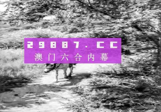 澳门六肖十八码最简单三个步骤