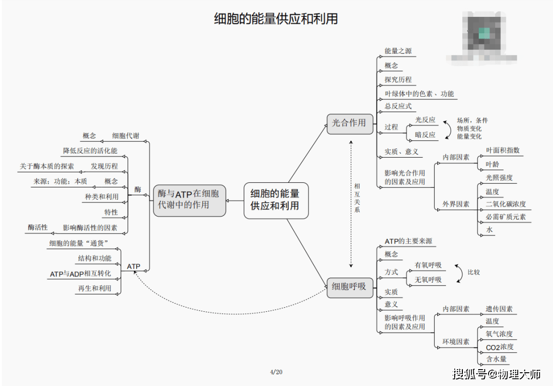 三肖必出一期与刘伯温的智慧，刘伯温智慧揭秘，三肖必出一期定律
