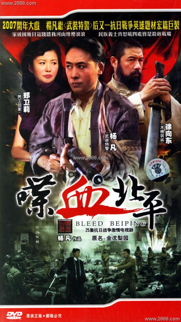 铁血北洋，一段辉煌的历史篇章，铁血北洋，辉煌历史的篇章