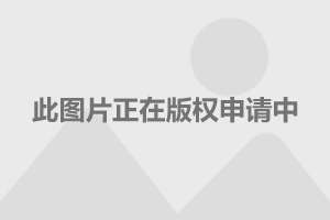 三军仪仗队图片Logo，荣耀的象征与国家的骄傲，三军仪仗队图片Logo，国家荣耀与骄傲的典范