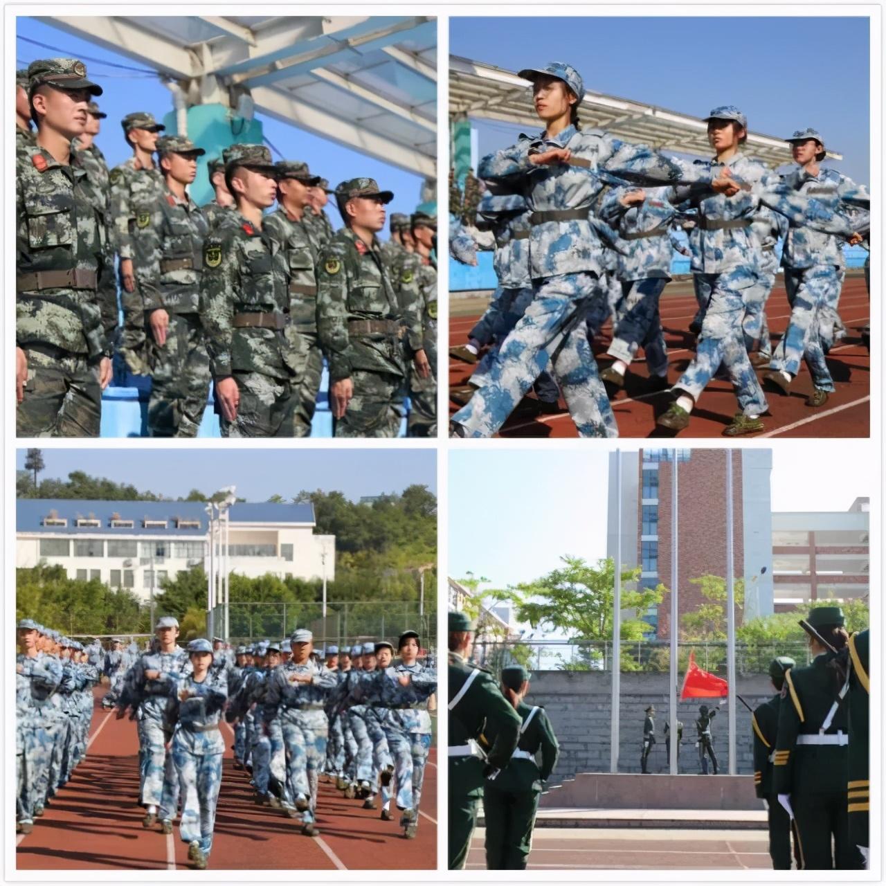 中央军事频道在2020年的表现与影响，中央军事频道在2020年的表现及其影响力分析