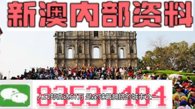 新澳门正版免费资料的查找方法与使用指南，澳门正版免费资料查找方法与使用指南