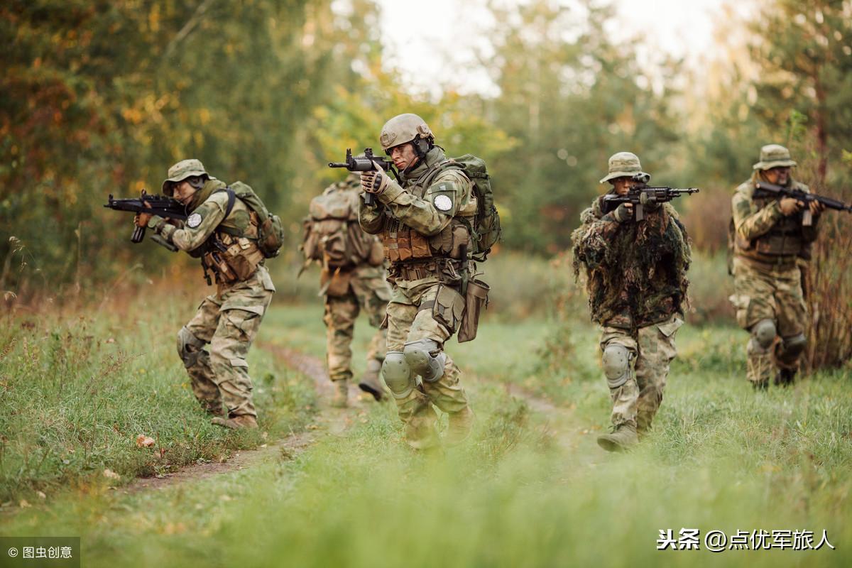 陆军以步兵兵种为主体的多元构成与战略作用，陆军步兵兵种多元构成及其战略作用探究