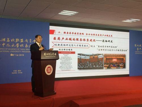 2025年香港资料精准