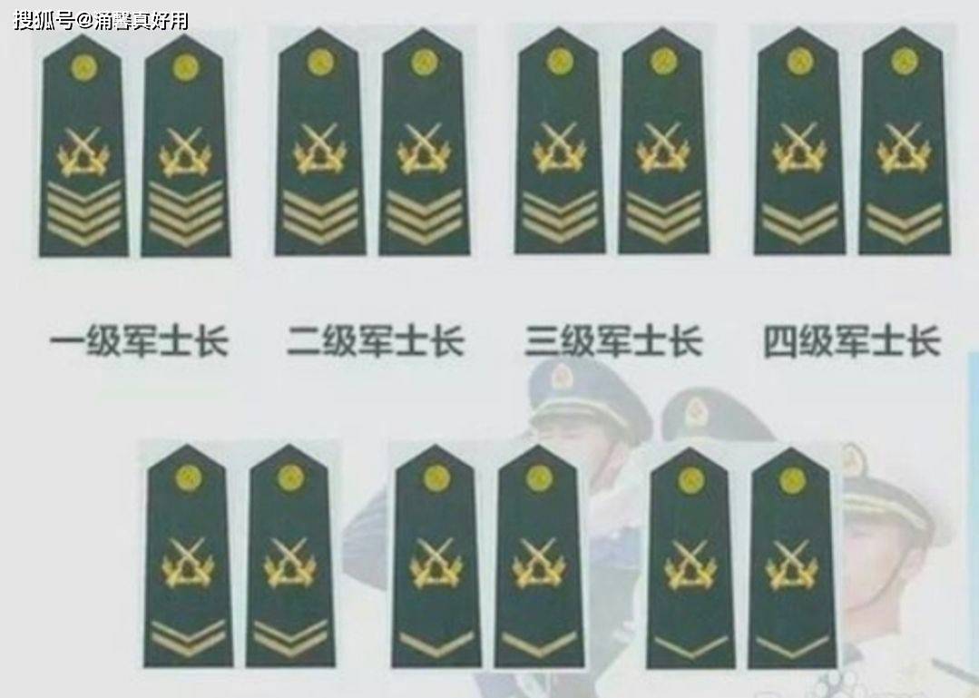 七级士官军衔，荣誉与责任的象征，七级士官军衔，荣誉与责任的标志