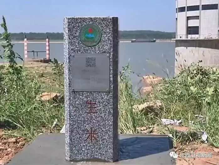 樊孝俊，时代先锋，引领未来的卓越力量，樊孝俊，时代先锋，引领卓越未来之力