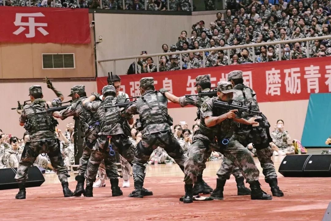 军事节目主持人的风采,那些闪耀的明星与他们的图像印记,军事节目主持人的风采,明星主持与他们的独特印记