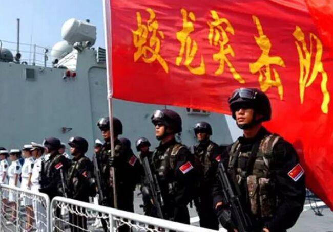 中国武警特种警察学院排名及其影响力探讨，中国武警特种警察学院排名与影响力深度探讨
