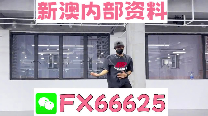 澳门管家婆——探索数字时代的彩票奥秘，澳门管家婆揭秘数字时代彩票奥秘