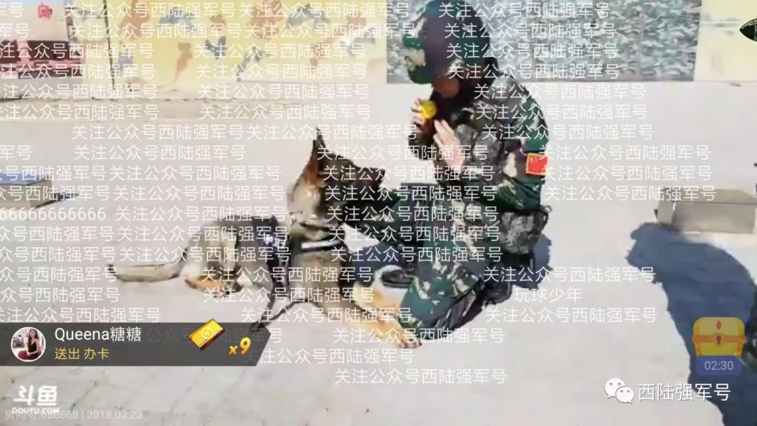 中国网络部队的规模与职能，中国网络部队的规模与职能概述