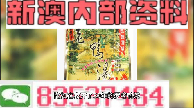新澳2025年正版资料深度解析，新澳2025年正版资料深度剖析