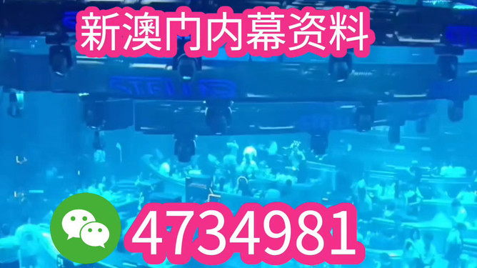 澳门特马今晚开奖亿彩网——探索彩票的魅力与挑战，澳门特马今晚开奖亿彩网，彩票魅力与挑战揭秘