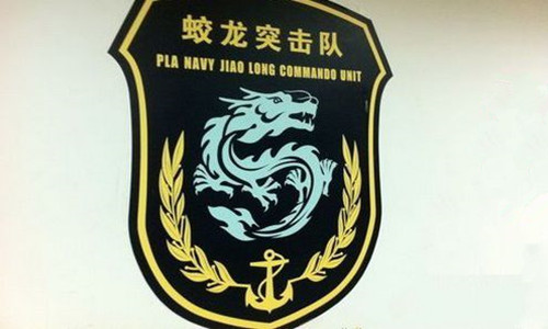蛟龙突击队编制是连吗？——解析特种部队编制与使命，特种部队编制揭秘，蛟龙突击队是连级单位吗？解析其使命与编制