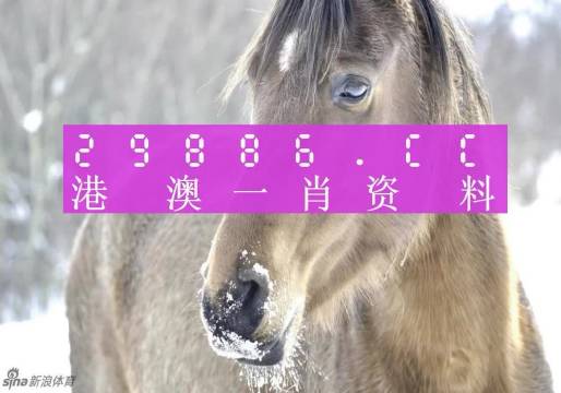 揭秘一肖一码，澳门100%准确预测背后的秘密，揭秘澳门一肖一码预测背后的真相与秘密