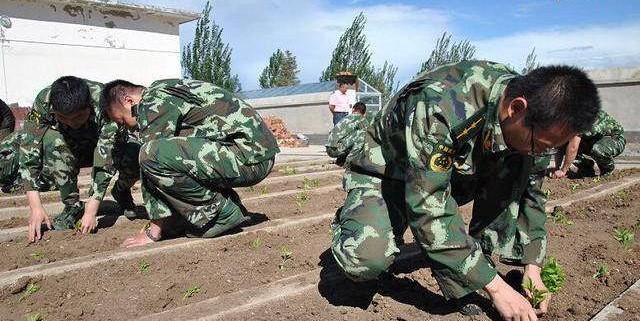 军事农业频道是否已被删除？探究背后的原因与影响，军事农业频道背后的消失原因及其影响探究