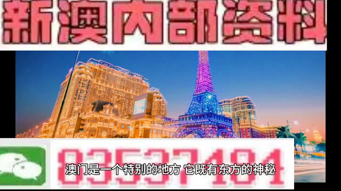 新澳门正版精准免费大全，探索与解析，澳门正版精准资料探索与解析大全