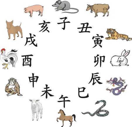 王中王016指一生肖——探寻背后的神秘与魅力，王中王016生肖背后的神秘魅力探寻