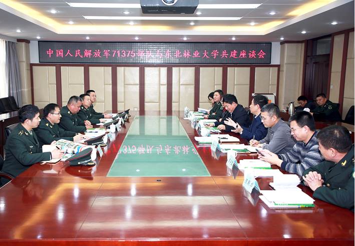 中国人民解放军61367部队，光荣与使命的象征，中国人民解放军61367部队，光荣使命的象征