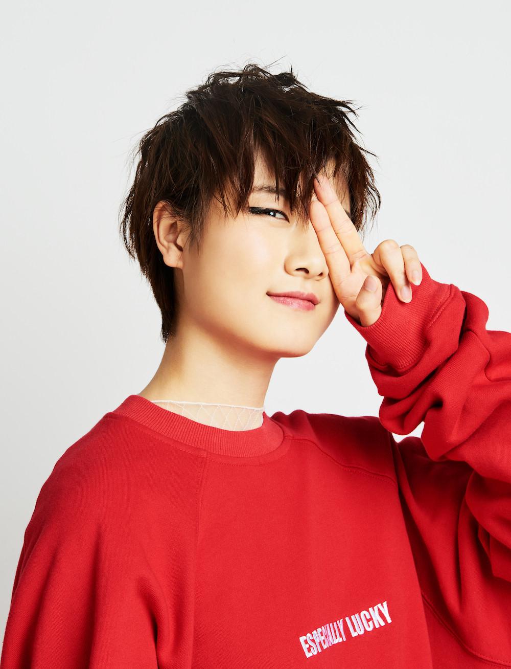 歼-20曾一度险些被苏-27改击败，空中博弈的曲折历程，歼-20与苏-27的空中博弈，曲折历程中的对决与挑战