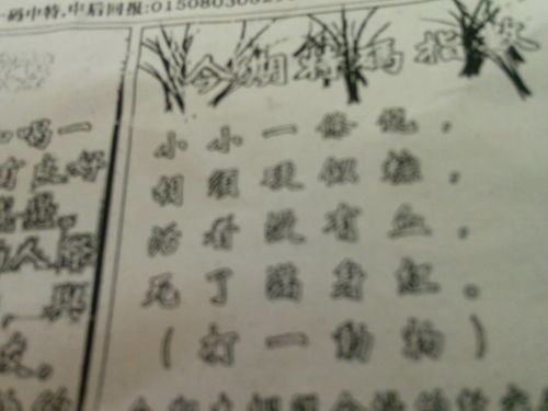 揭秘刘伯温四肖选一肖的神秘预测艺术，刘伯温四肖选一肖的神秘预测艺术揭秘