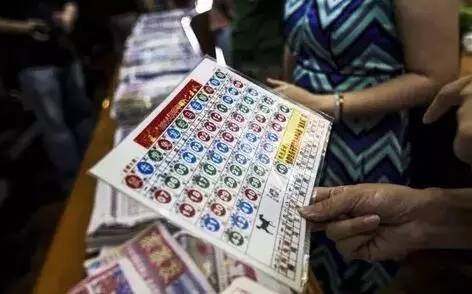 香港六合彩开奖结果与记录，探索2023年的数据世界，香港六合彩开奖结果与记录探索，揭秘2023年数据世界奥秘