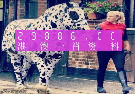 王中王一肖一马中特之独特魅力与深层含义，王中王一肖一马，独特魅力与深层内涵揭秘