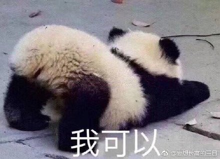 澳门四不像