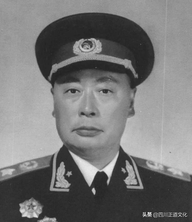 十大元帅中谁打仗最厉害？历史的深度解读，深度解读，十大元帅中的战争巨匠，谁为战场之神？