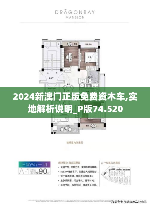 探索澳门未来，2025新澳门正版免费资讯车的发展与影响，澳门未来展望，2025年正版免费资讯车的发展与影响探索