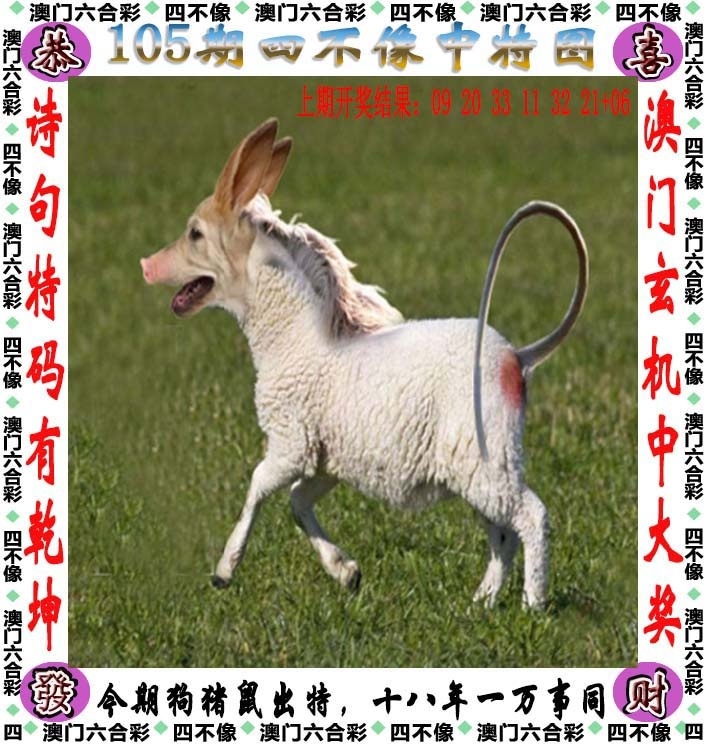 澳门精准四不像，探索与预测到2025年，澳门精准四不像，未来至2025年的探索与预测