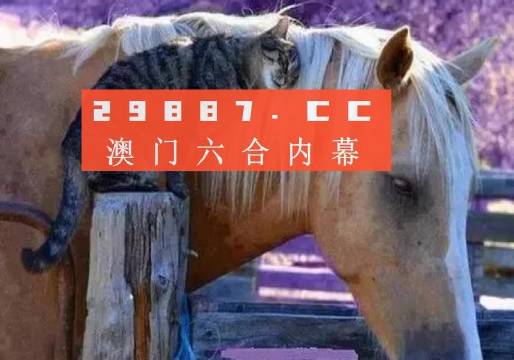 澳门最快开奖六开四不像，探索与解析，澳门六开四不像彩票开奖探索与解析