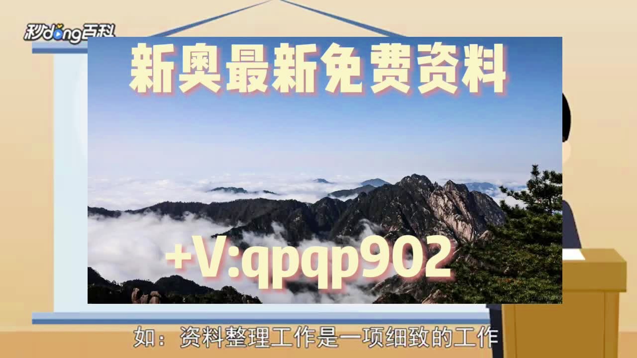 新奥天天精准资料大全，深度解析与实际应用，新奥天天精准资料大全，深度解析及实际应用指南