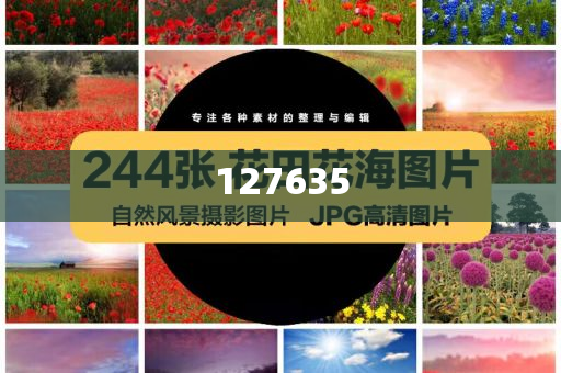 揭秘精准新传真背后的秘密，解码数字组合77777与88888的魅力，揭秘精准新传真背后的秘密，数字组合77777与88888的魅力解码