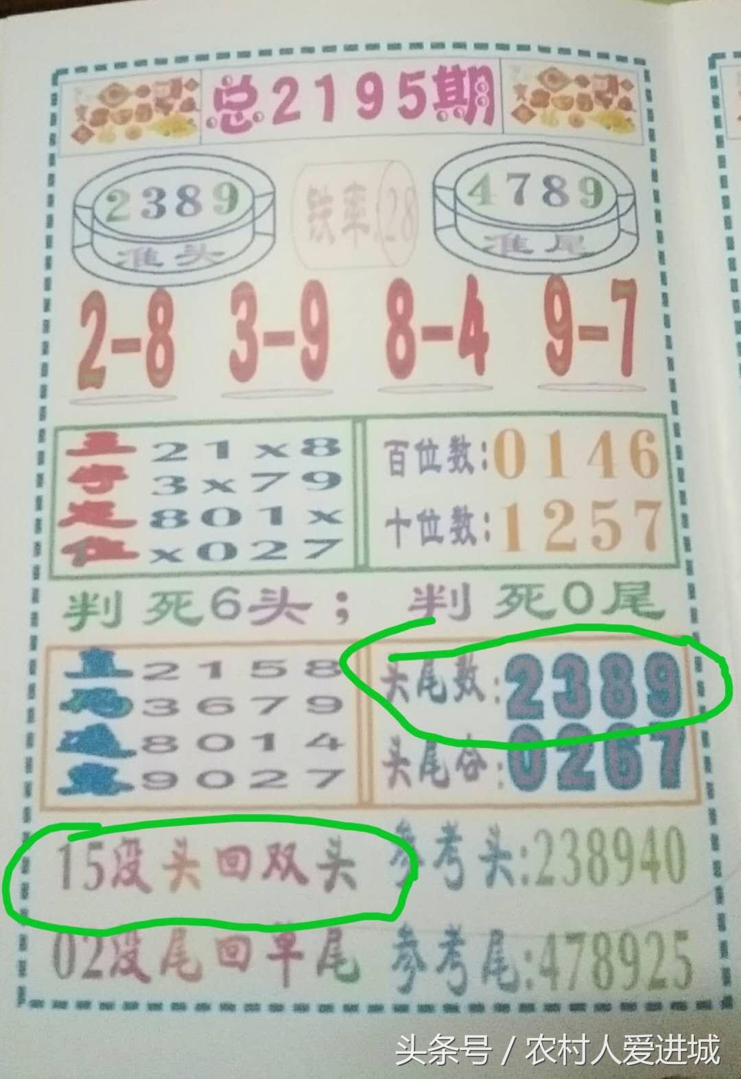澳门一码一肖期期精准，揭秘彩票背后的秘密，澳门彩票揭秘，一码一肖期期精准背后的秘密
