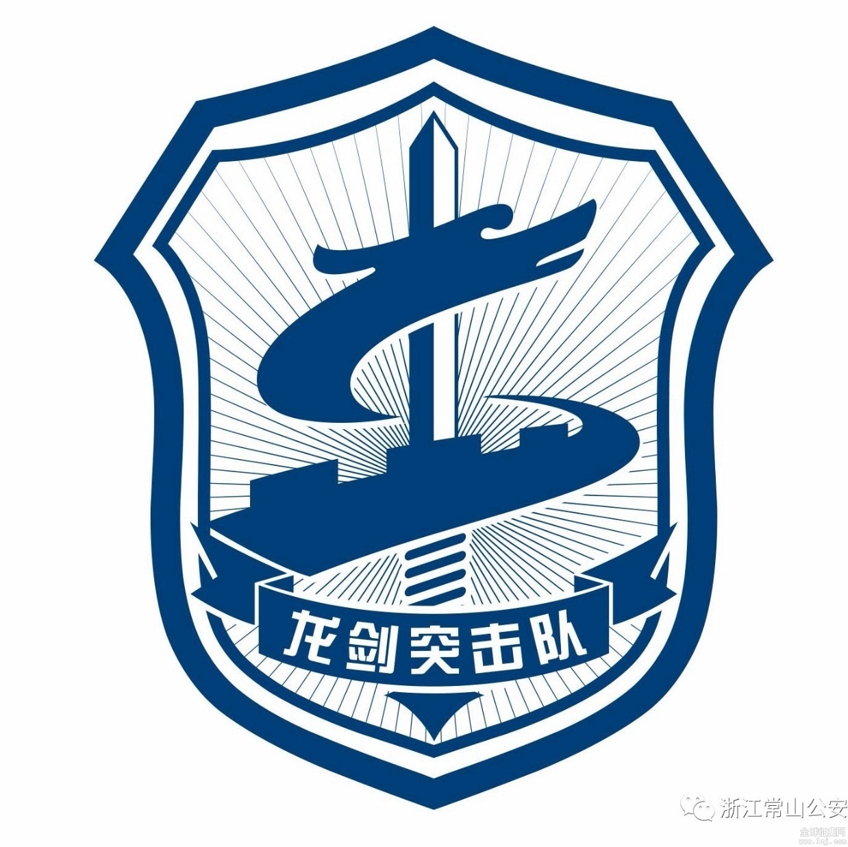 揭秘蛟龙突击队队标，荣耀与使命的象征，揭秘蛟龙突击队队标，荣耀与使命的象征探秘