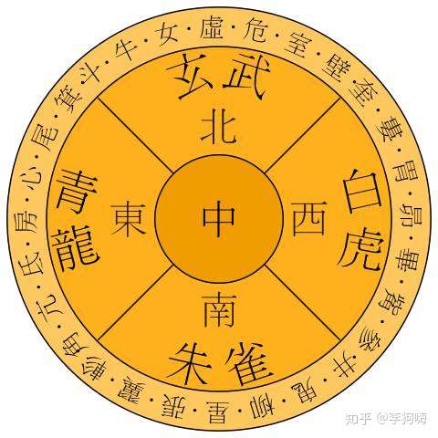 王中王资料一肖中地图，深度解析与探讨，王中王资料一肖中地图深度解析与探讨