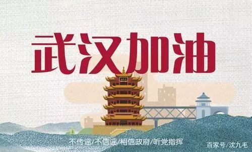 王中王、肖一特一中投资情况深度解析，王中王、肖一特投资情况深度剖析