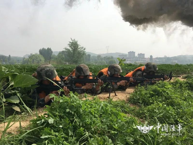 石家庄陆军合成80旅，新时代合成旅的典范，石家庄陆军合成80旅，新时代合成旅典范展现风采