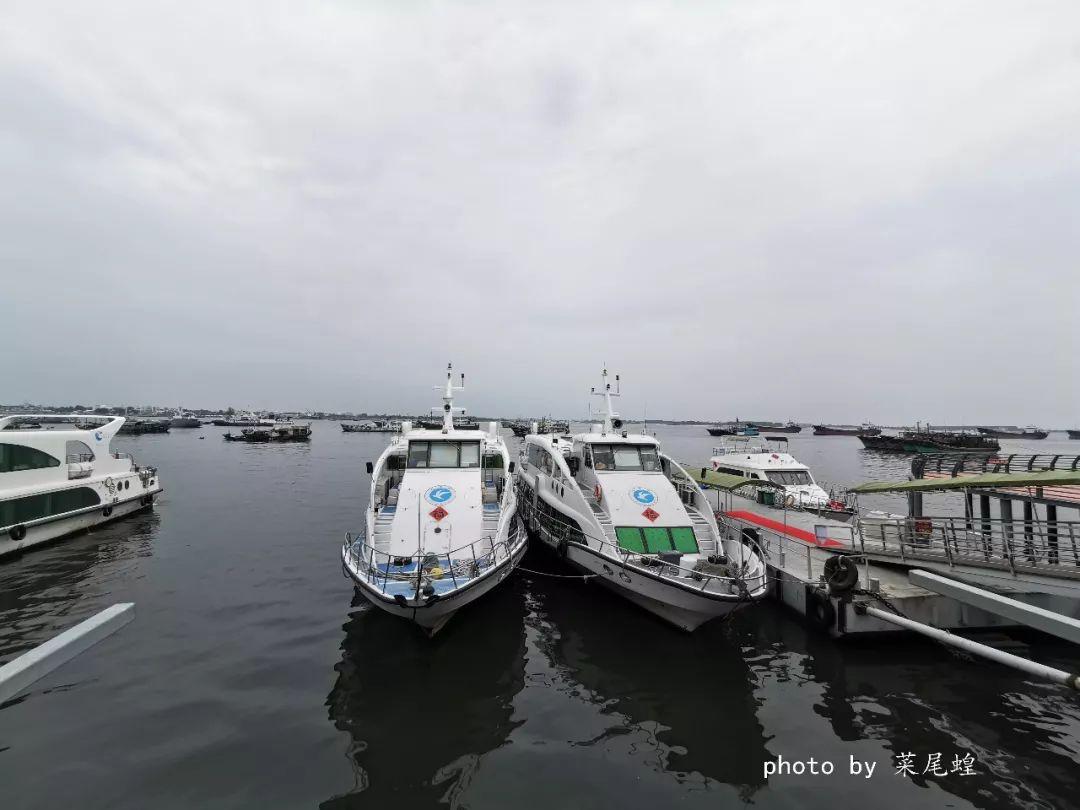 湛江十里军港的壮丽画卷，历史、现状与未来展望，湛江十里军港，历史、现状与未来展望的壮丽画卷