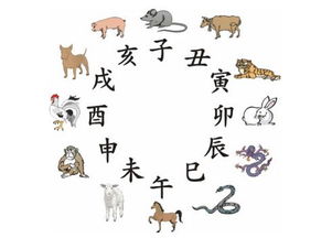 今天是什么生肖日，今日生肖运势揭秘，揭秘今日生肖运势特点
