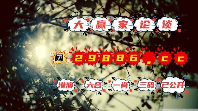 王中王与肖一码，揭秘背后的资料与秘密，王中王与肖一码，揭秘背后资料与神秘面纱